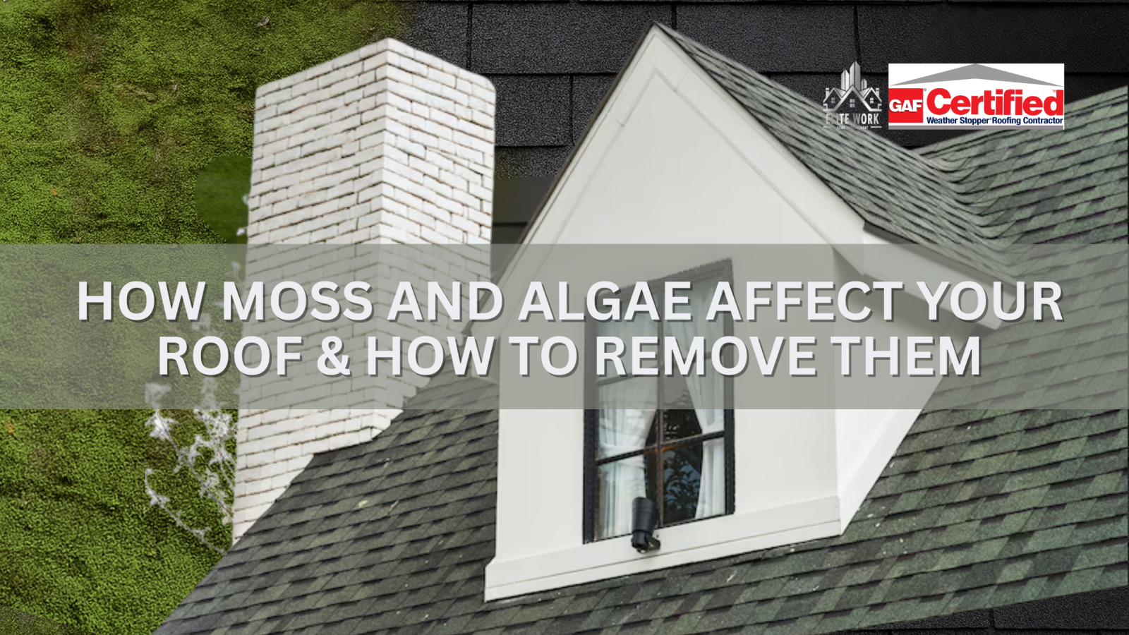How Moss and Algae Affect Your Roof & How to Remove Them