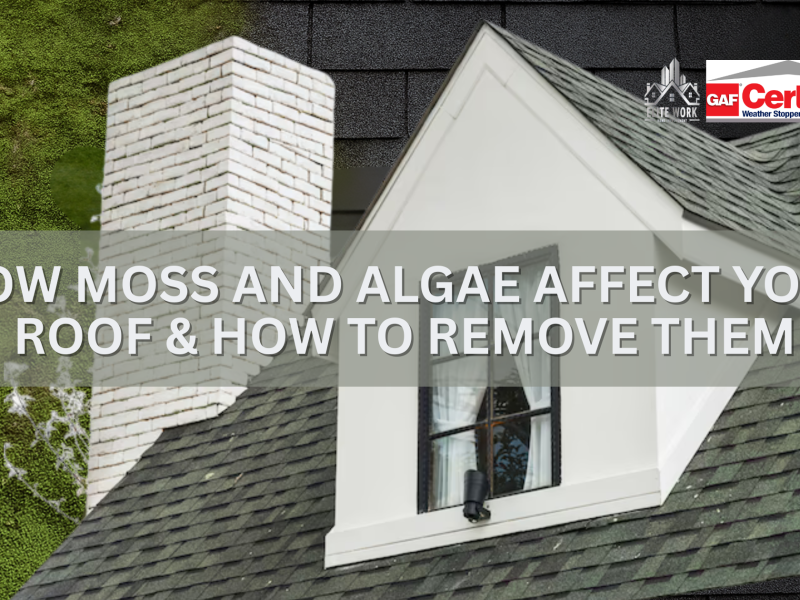 How Moss and Algae Affect Your Roof & How to Remove Them