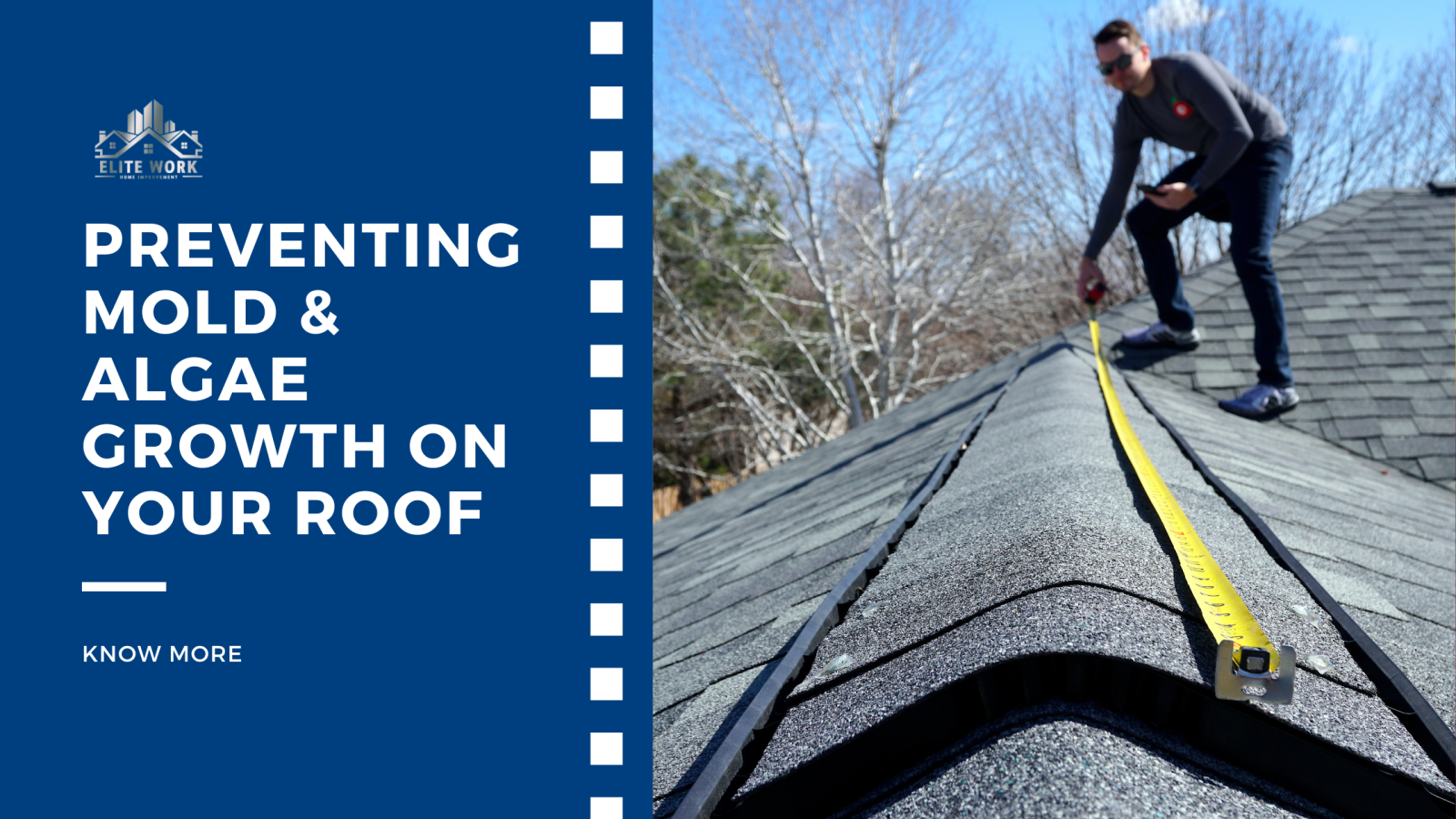 Preventing Mold & Algae Growth on Your Roof