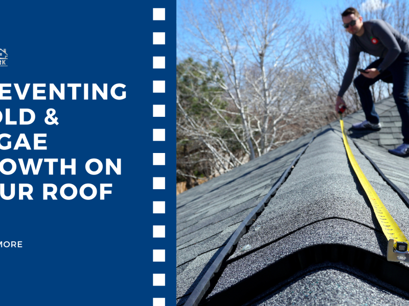 Preventing Mold & Algae Growth on Your Roof