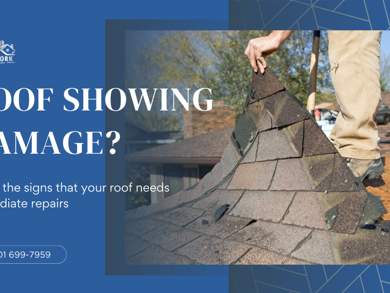Top Signs Your Roof Needs Immediate Repairs
